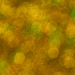 Bokeh-494
